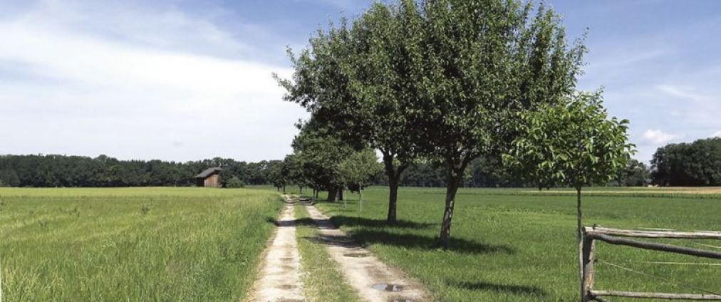 bildstockweg-slider-02