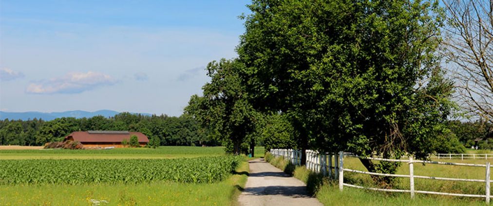 bildstockweg-slider-09